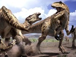 replay Safari prehistorique
