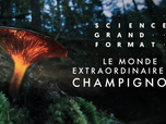 Science grand format - 12/05/2026