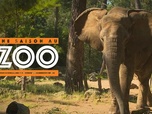 Une saison au zoo - S12 E9