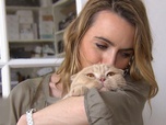 La vie secrete des chats - S2E1 - Du chat des villes au chat des champs