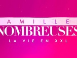 Familles nombreuses : la vie en XXL du 18 juin 2026 - Episode 2