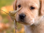 replay Too cute