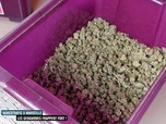 Enquête d'action - Narcotrafic à Marseille : les gendarmes frappent fort !