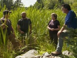 Le mystère d'Oak Island : la course au trésor - S10E16 - Puits-tu le croire ?