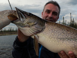Pêche XXL - S5E3 - Tueur de piranhas
