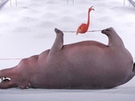Athleticus - Exhibition bosses