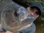 Pêche XXL - S3E4 - Le dévoreur de l'Amazonie
