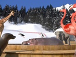 Athleticus - Le bain chaud