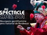 Au spectacle chez soi - Le Bourgeois gentilhomme