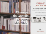 La p'tite librairie