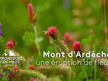 Chroniques d'en Haut
