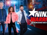 Ninja Warrior : Le Parcours des héros