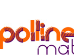 replay Apolline Matin