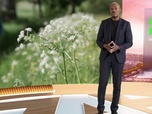 Sept à huit Life du dimanche 31 août 2025
