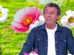Les 12 coups de midi du 9 mai 2026