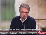 Les Grandes Gueules - Faut-il une formation obligatoire pour adopter un chien ?
